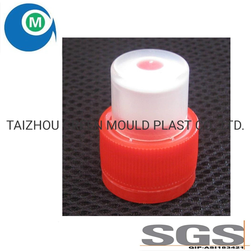 China Manufacturer of Injection Plastic Water Cap Molding Factory