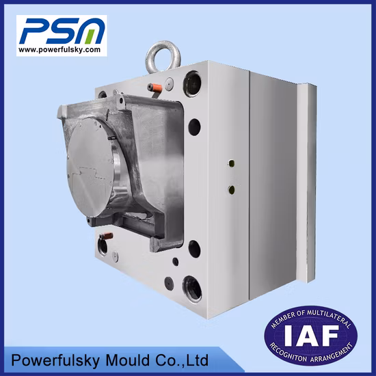Китай Высокое качество OEM пластиковых инъекций откидной верхней крышки пресс-формы